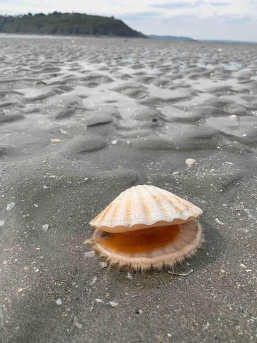 Ravissant Studio En Bord De Mer Plérin المظهر الخارجي الصورة